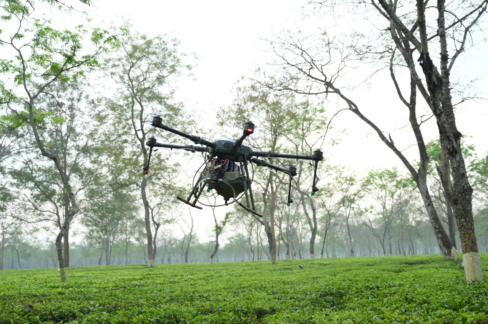 Field Mapping