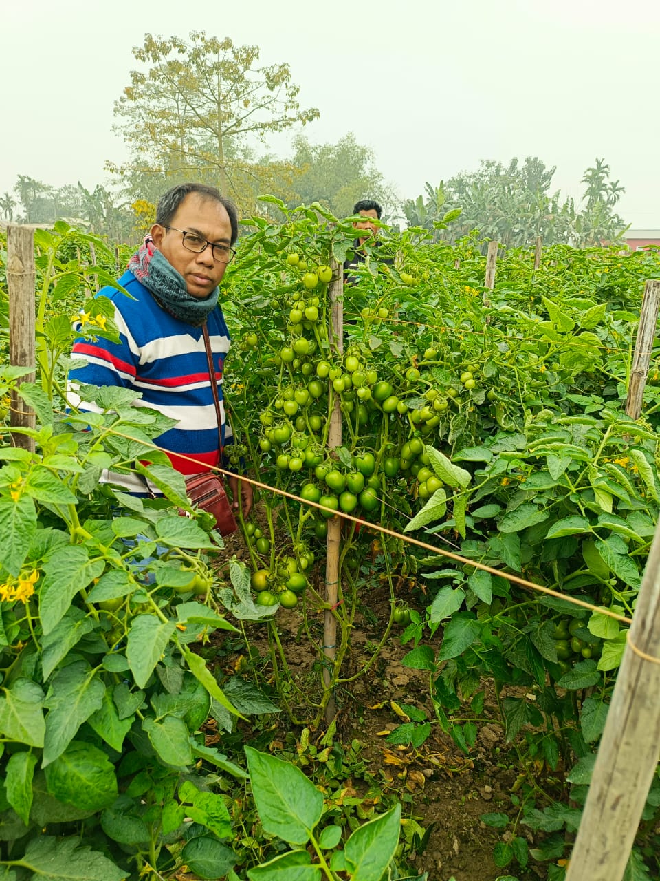 Agriculture