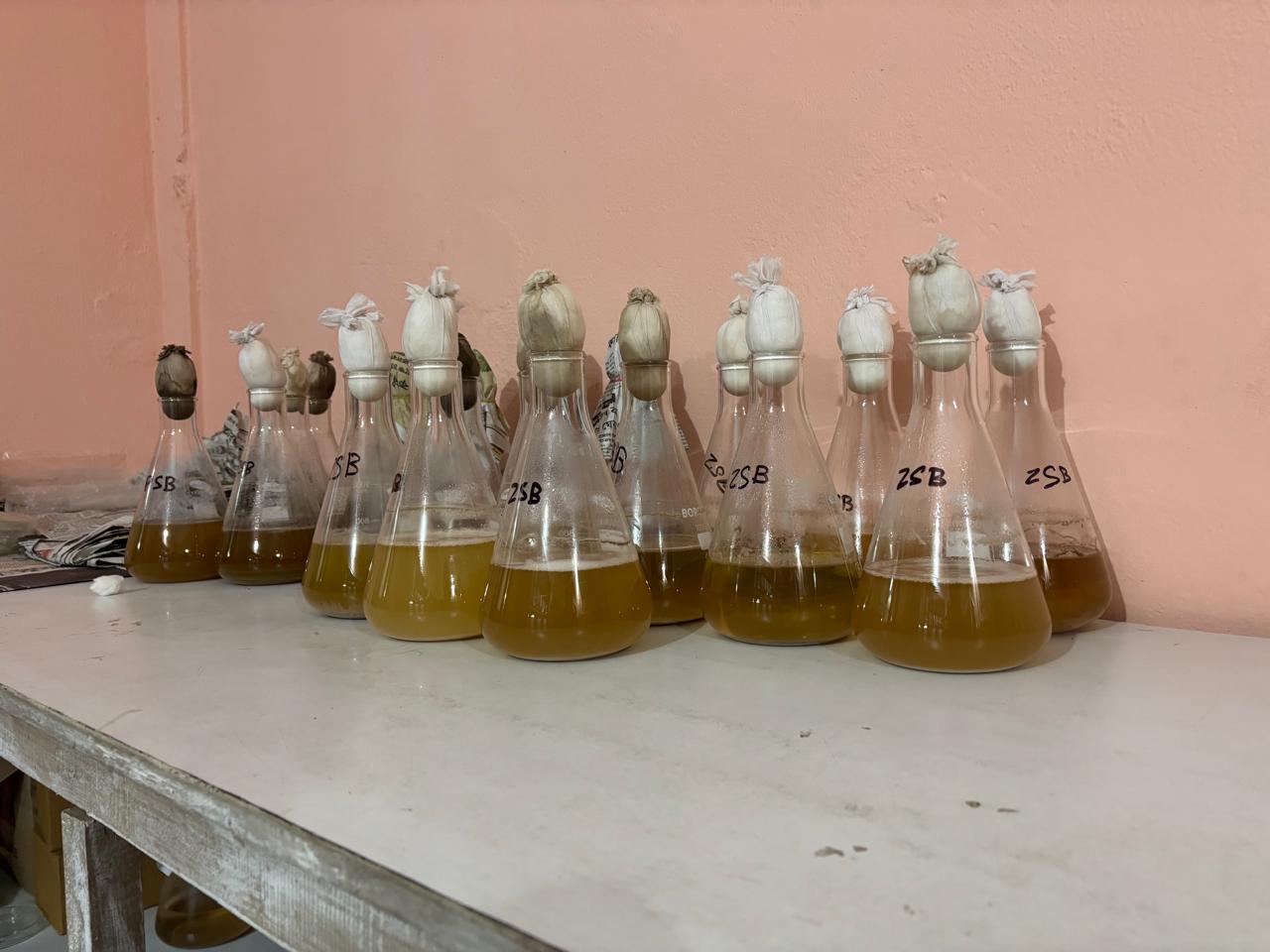 Laboratory equipment 11